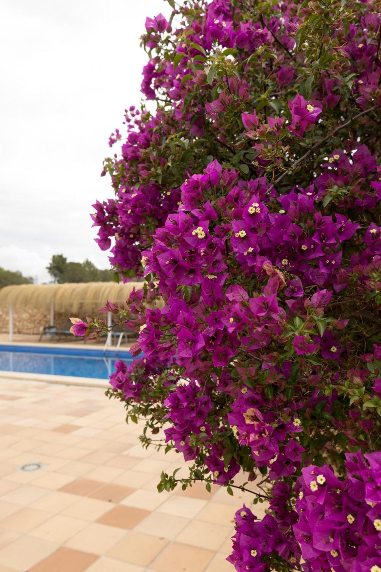 Villa Mestral Alcudia  Luaran gambar